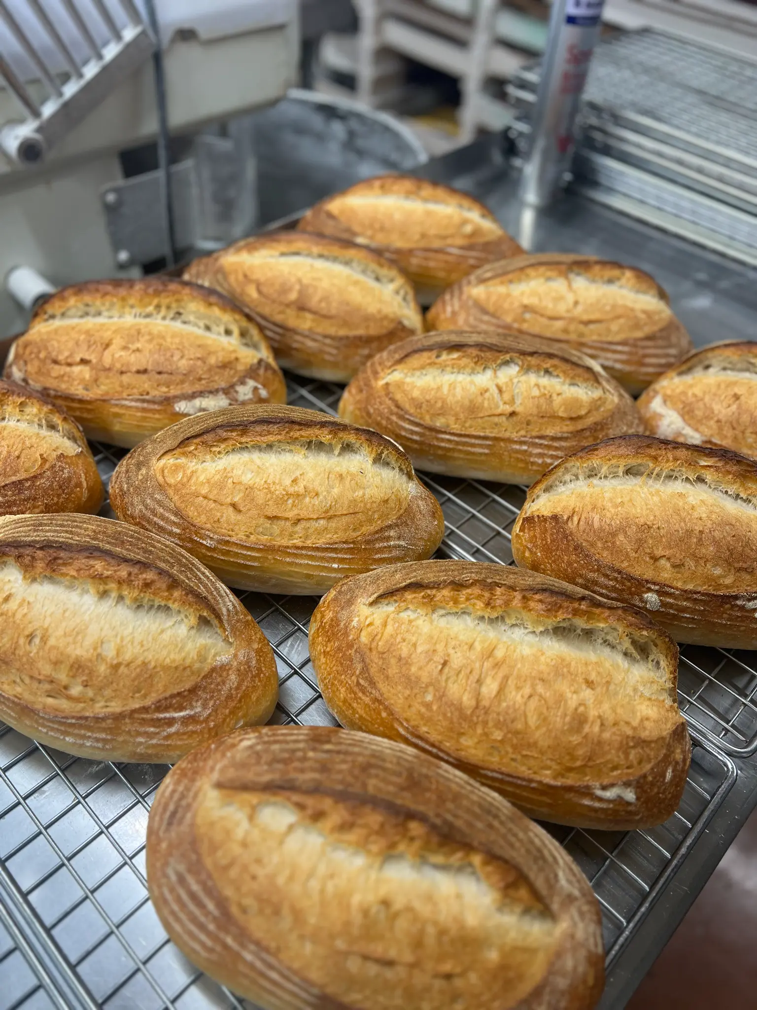 Fresh sourdough loaves cooling on the rack at Michael's Bakery